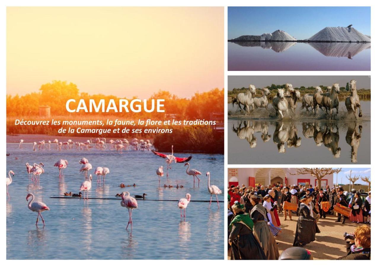 Le Mazet Sooksabai, Confort, Charme Et Decouverte En Petite Camargue Saint-Laurent-dʼAigouze エクステリア 写真