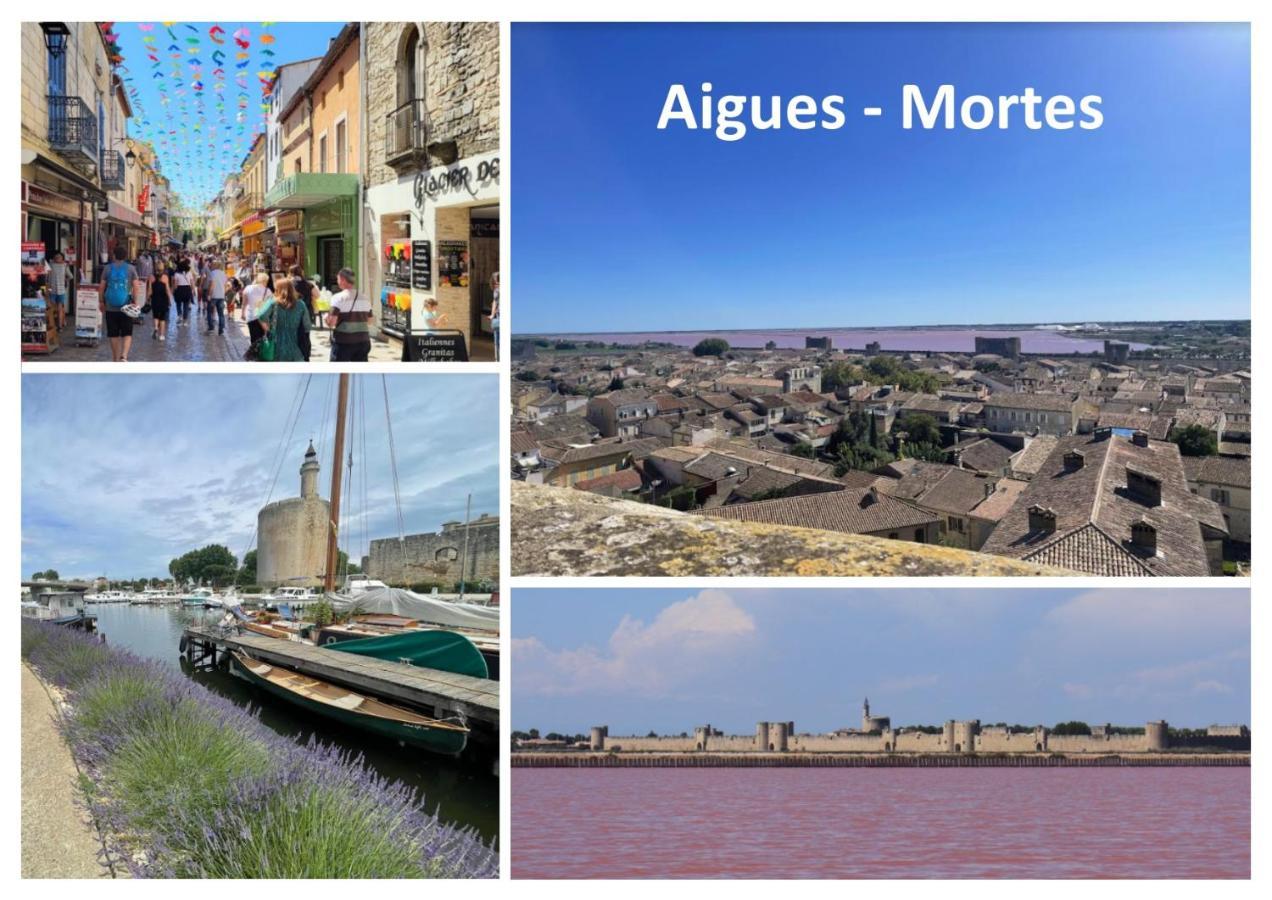 Le Mazet Sooksabai, Confort, Charme Et Decouverte En Petite Camargue Saint-Laurent-dʼAigouze エクステリア 写真