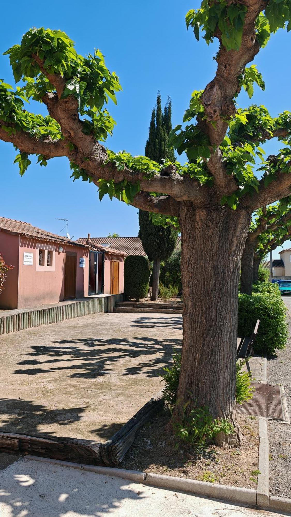 Le Mazet Sooksabai, Confort, Charme Et Decouverte En Petite Camargue Saint-Laurent-dʼAigouze エクステリア 写真
